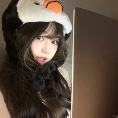 怪猫菲力兹