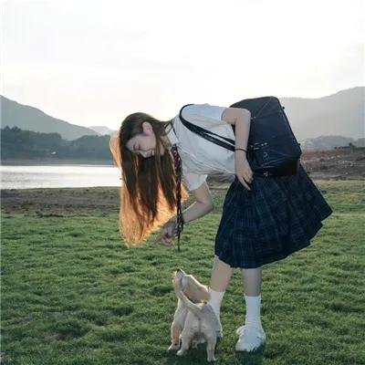 萌犬好声音